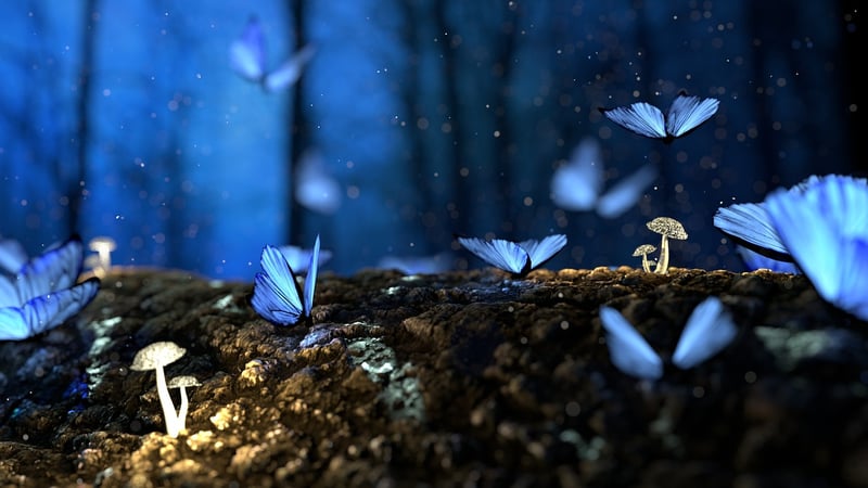 Magical Fairytale